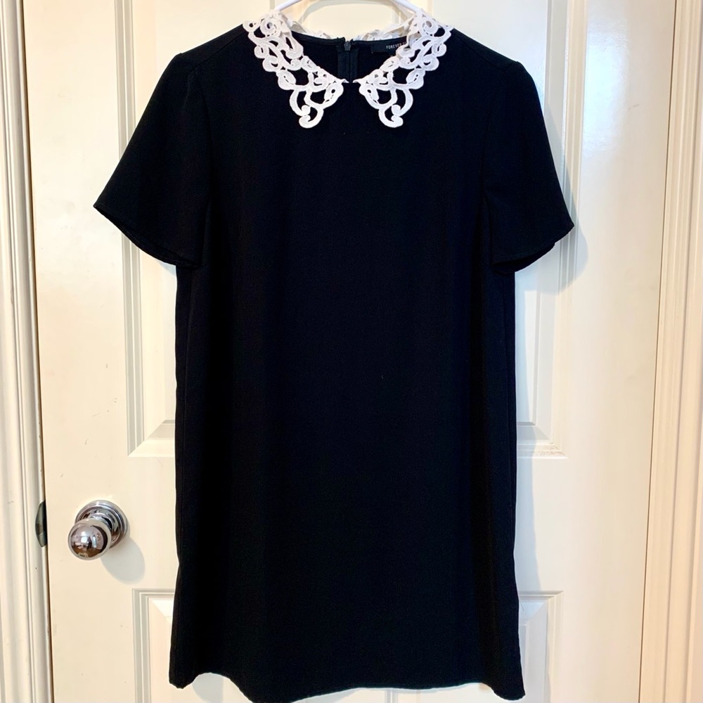 Lace Collar Dress